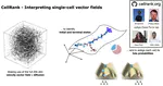CellRank for directed single-cell fate mapping (ISMB/ECCB)