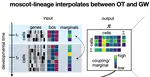 Mapping lineage-traced single cells across time points (NeurIPS LMRL)