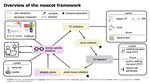 Moscot: A scalable toolbox for optimal transport problems in single-cell genomics (MIA talk)