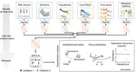 Unified fate mapping in multiview single-cell data